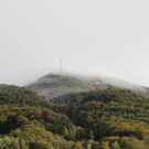 normal_08102011fmt_schnee_fm_23.jpg