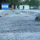 DSCN9682_JPG-1318154504