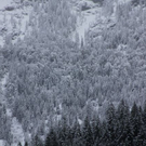 normal_09102011schneerlaktivnews__6_.jpg