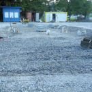 DSCN9682_JPG-1318170467