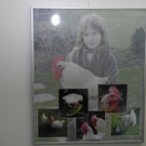 DSCN9768_JPG-1318170982