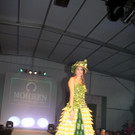 IMG_8011_jpg-1318178833