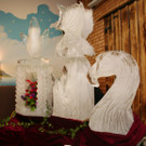 IMG_7945_jpg-1318179868