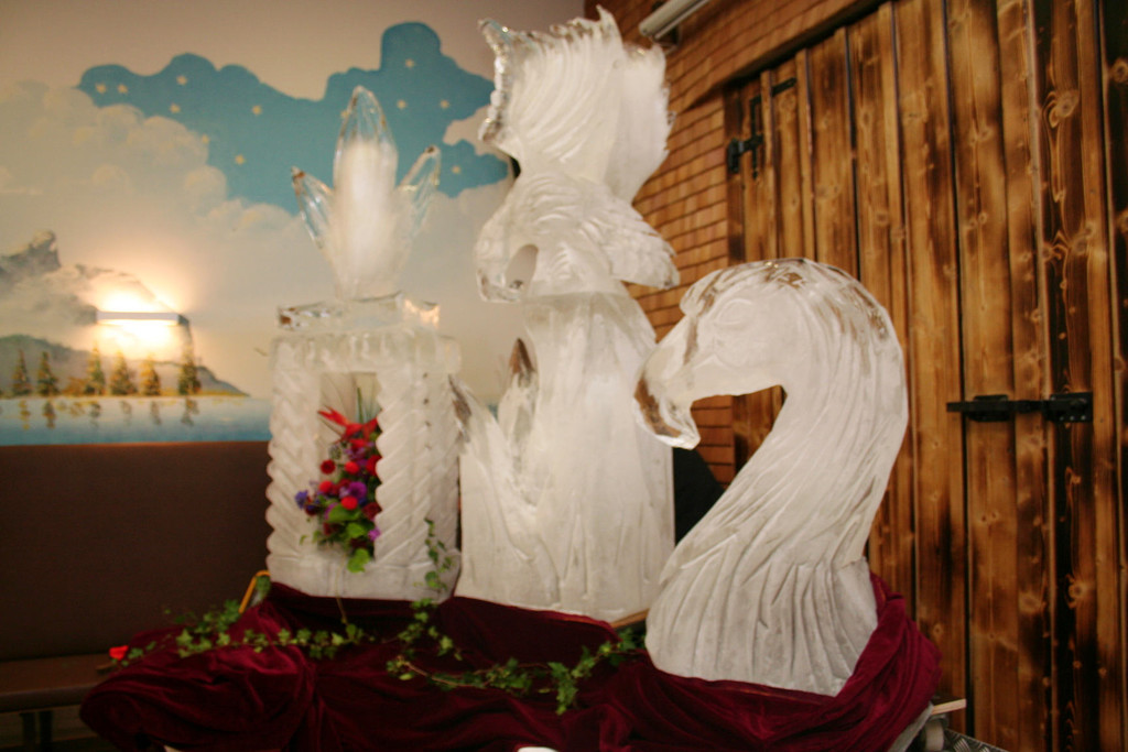 IMG_7945_jpg-1318179868