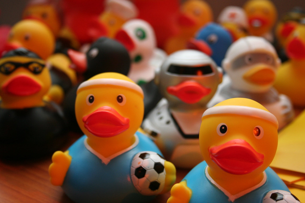 IMG_8112_jpg-1318180166