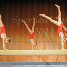Sportlerehrung H__chst 07_10_2011 78_jpg-1318179978