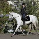 2011-10-09_0255_10_bearbeitet-1.jpg