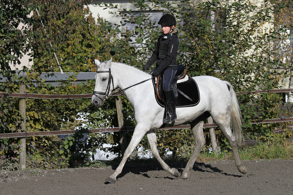 2011-10-09_0255_10_bearbeitet-1.jpg