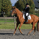 2011-10-09_0329_10_bearbeitet-1.jpg