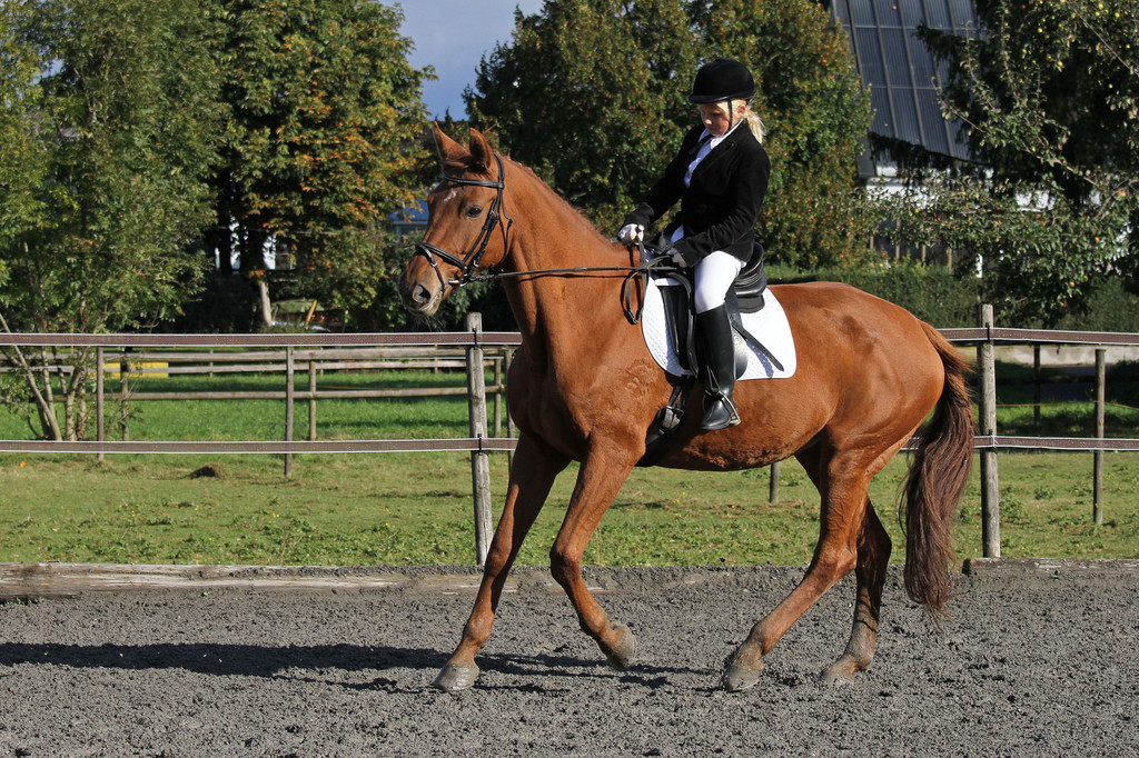 2011-10-09_0329_10_bearbeitet-1.jpg