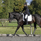 2011-10-09_0593_10_bearbeitet-1.jpg
