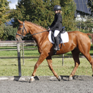 2011-10-09_0684_10_bearbeitet-1.jpg