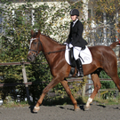 2011-10-09_0044_bearbeitet-2.jpg