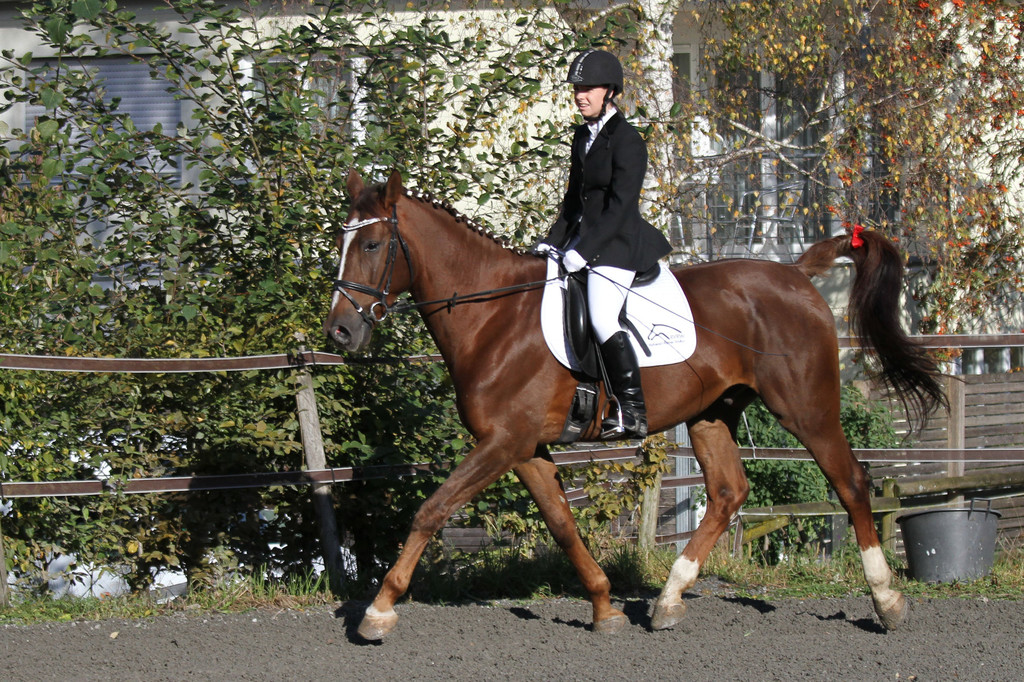 2011-10-09_0044_bearbeitet-2.jpg