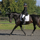 2011-10-09_0082_bearbeitet-2.jpg