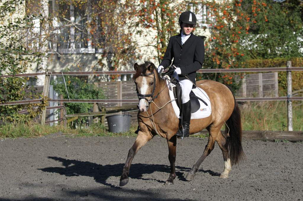 2011-10-09_0142_10_bearbeitet-1.jpg