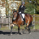 2011-10-09_0231_10_bearbeitet-1.jpg
