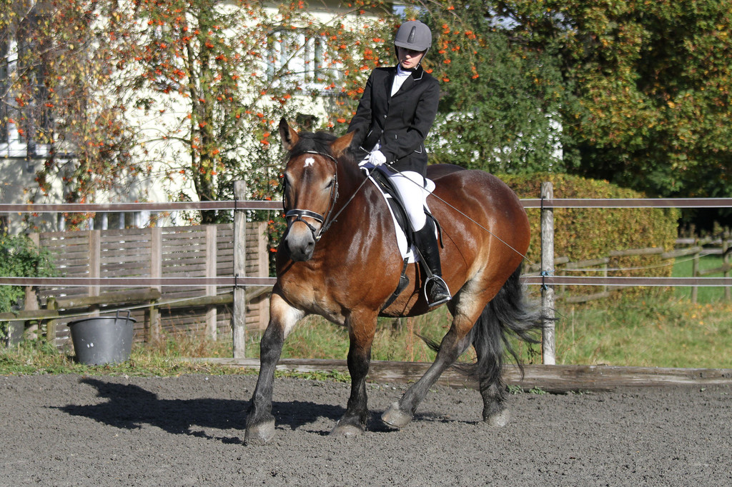 2011-10-09_0231_10_bearbeitet-1.jpg