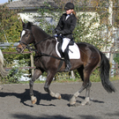 2011-10-09_0244_10_bearbeitet-1.jpg