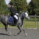 2011-10-09_0763_10_bearbeitet-1.jpg