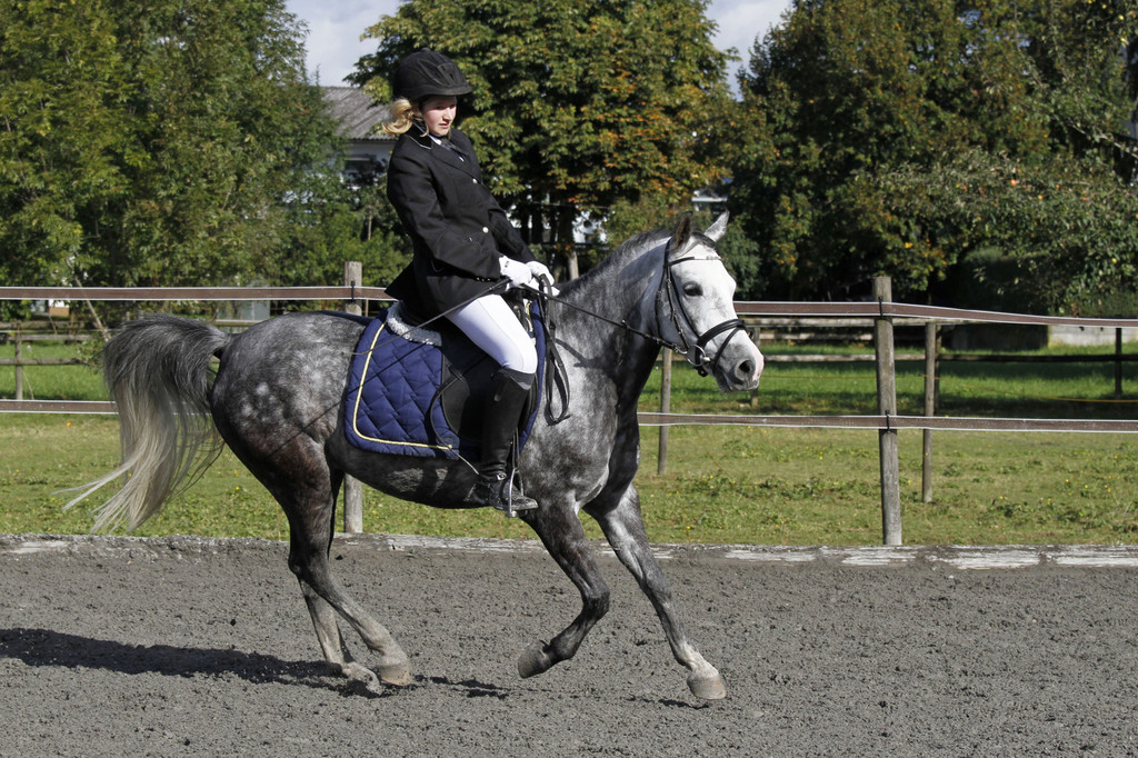 2011-10-09_0763_10_bearbeitet-1.jpg