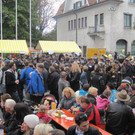 IMG_0764_JPG-1318183671