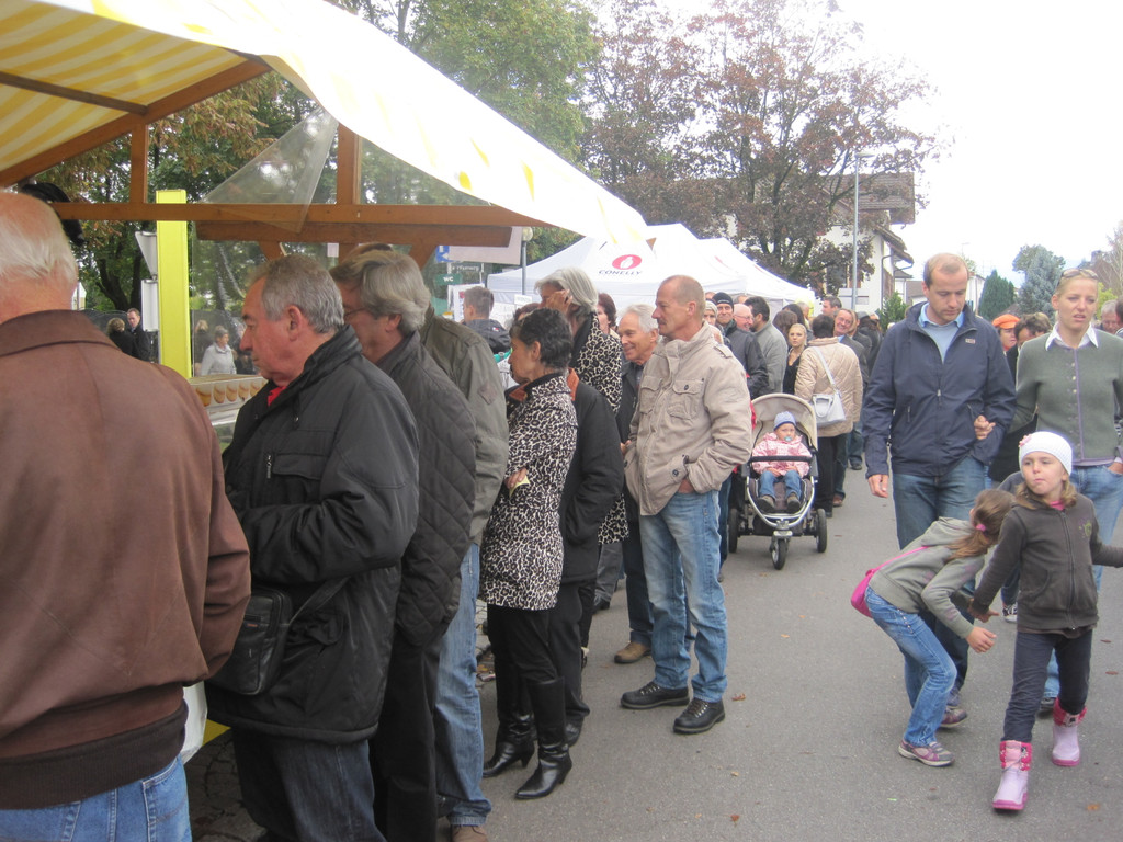 IMG_0768_JPG-1318183883