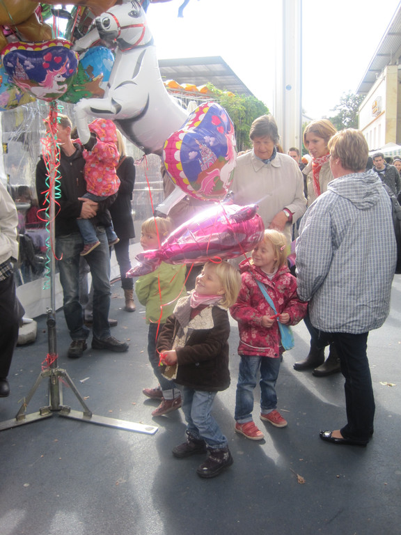 IMG_0788_JPG-1318184355