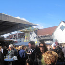 IMG_0844_JPG-1318185889