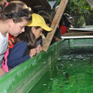 Wasserfest045.JPG