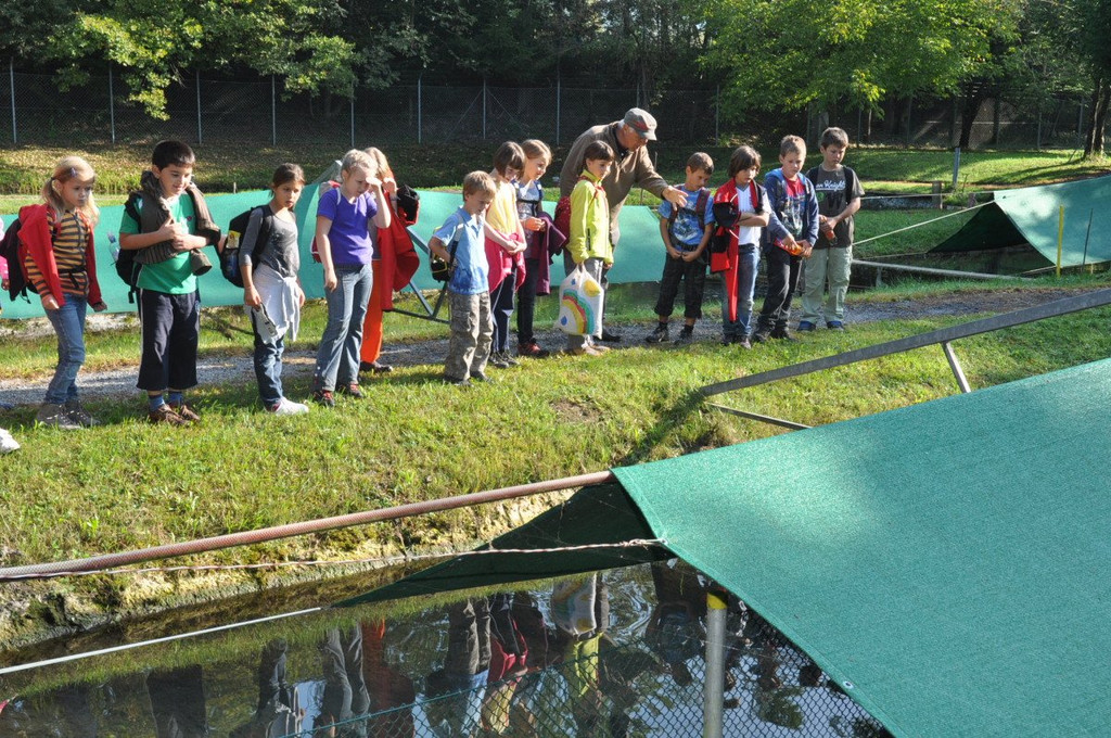 Wasserfest066.JPG