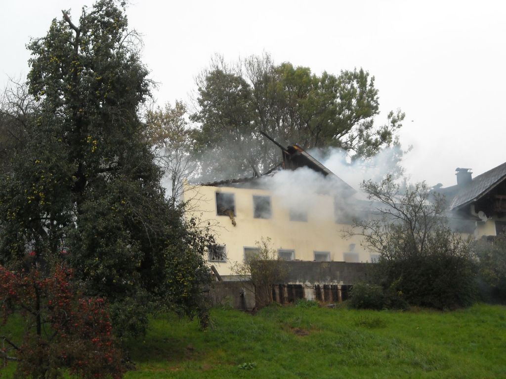normal_08102011brandgrasbergplaktivnews_06.jpg