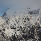 normal_09102011schneerl3__2_.JPG