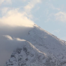normal_09102011schneerl3__4_.JPG