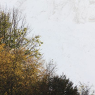 normal_09102011schneerl3__5_.JPG
