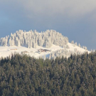 normal_09102011schneerl3__8_.JPG