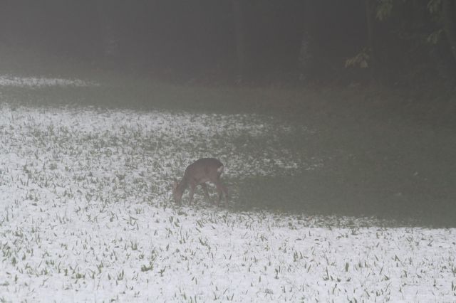 normal_09102011winterffaktivnews_01.jpg