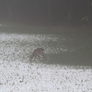 normal_09102011winterffaktivnews_01.jpg