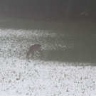 normal_09102011winterffaktivnews_03.jpg
