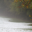 normal_09102011winterffaktivnews_04.jpg