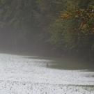 normal_09102011winterffaktivnews_08.jpg