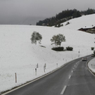 normal_09102011winterffaktivnews_33.jpg