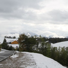 normal_09102011winterffaktivnews_36.jpg