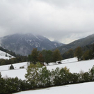 normal_09102011winterffaktivnews_38.jpg