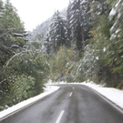 normal_09102011winterffaktivnews_47.jpg