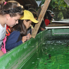Wasserfest045.JPG