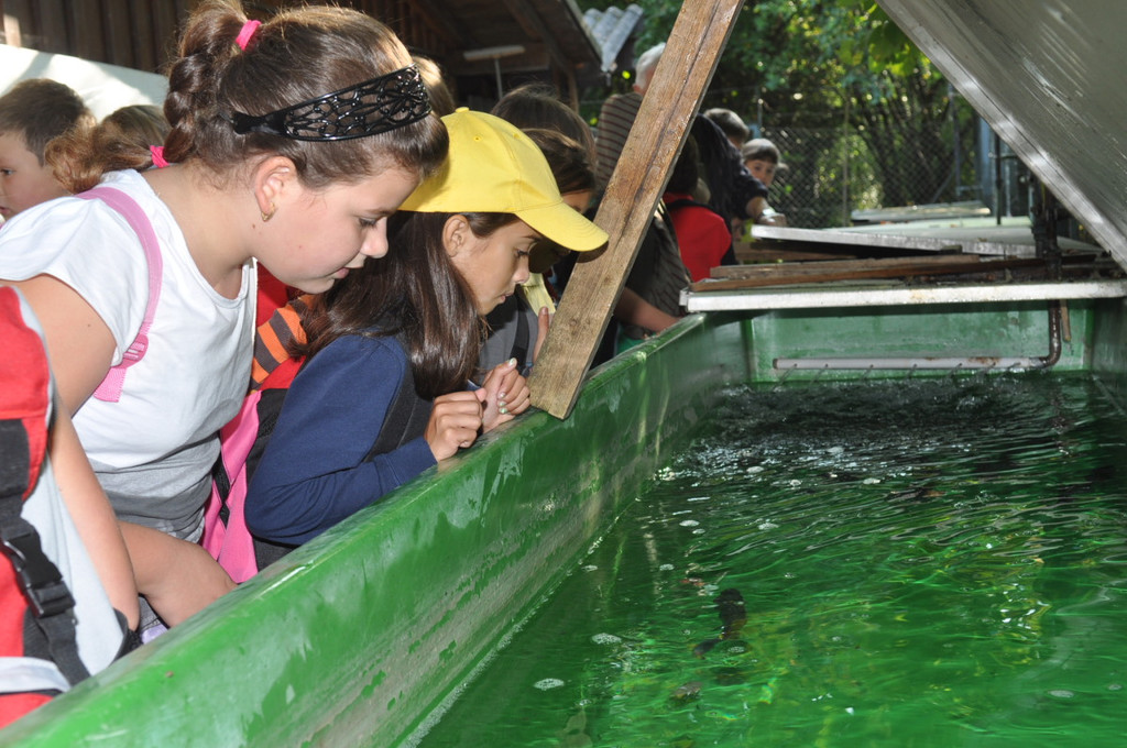 Wasserfest045.JPG