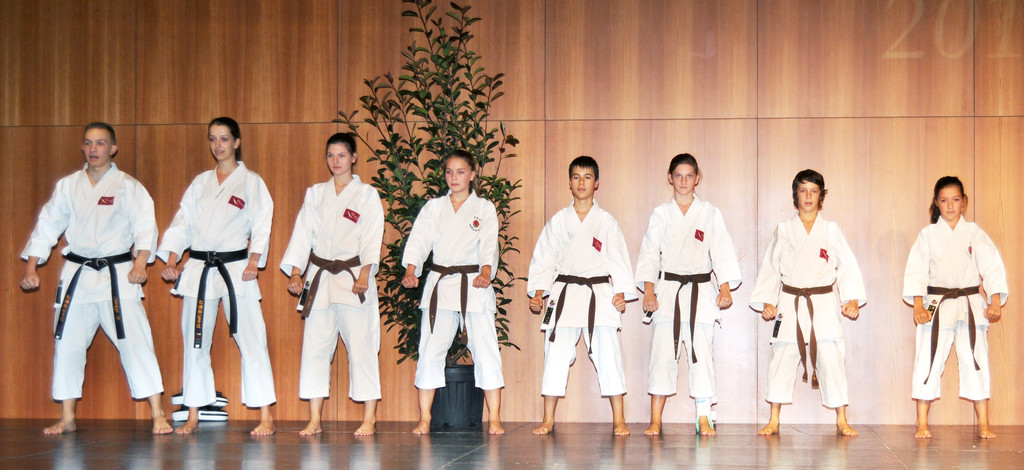 Sportlerehrung H__chst 07_10_2011 102_jpg-1318237627