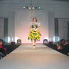 IMG_8013_jpg-1318249926