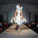 IMG_8018_jpg-1318249957